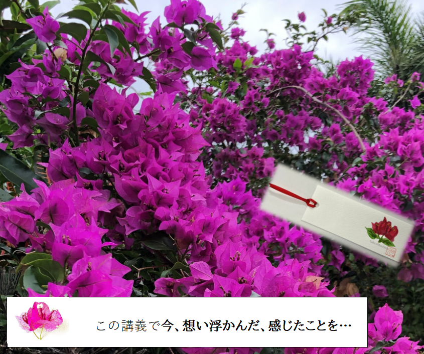 講義の最後に気づきを書き留めるブーゲンビリアのしおり